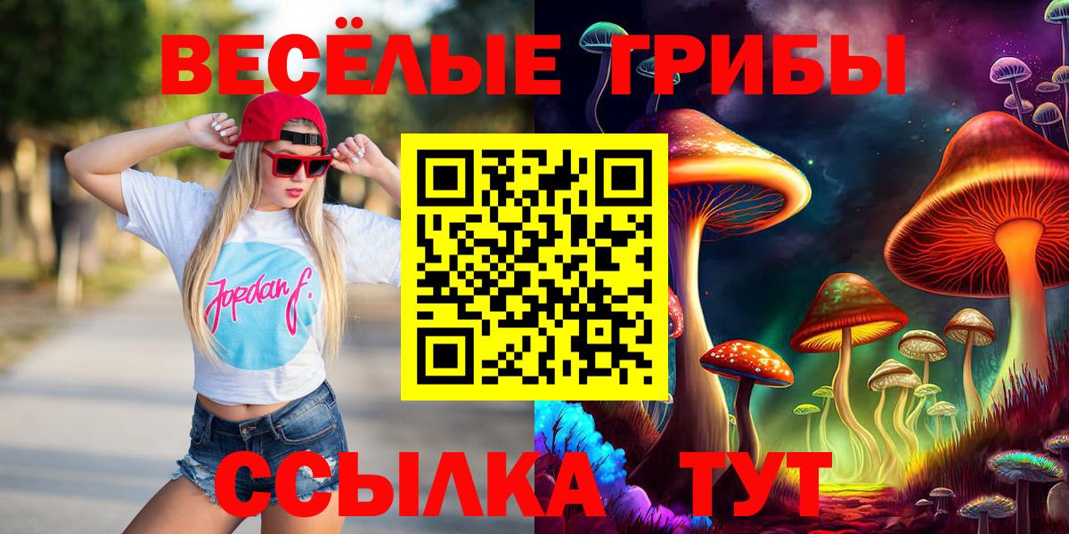 Галлюциногенные грибы GOLDEN TEACHER Химки
