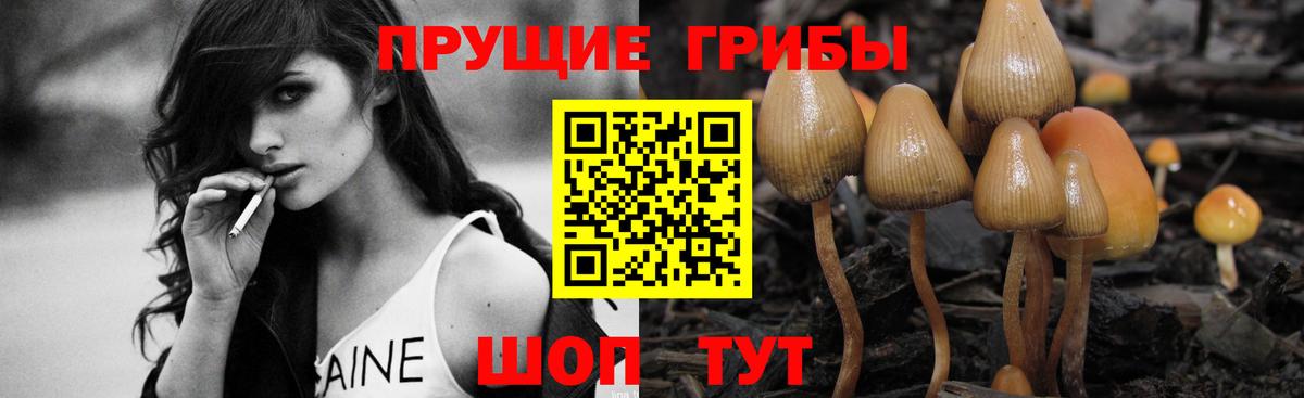 Псилоцибиновые грибы Psilocybine cubensis  Вход с VPN  Химки 